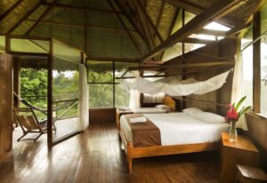 Jungle lodge