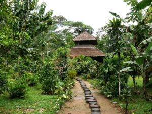 Jungle lodge chalet