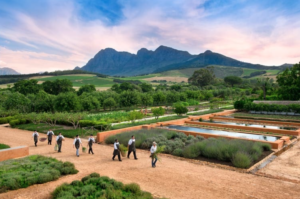 Babylonstoren, South Africa