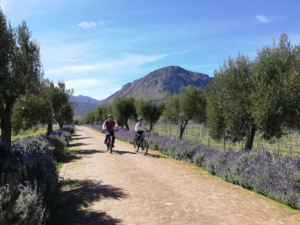 E-bike in Franschhoek