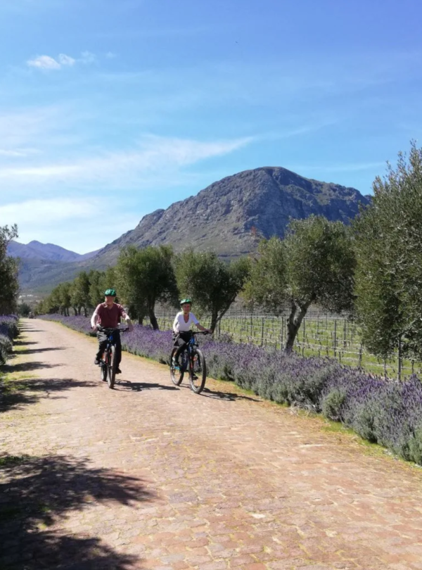 E-bike in Franschhoek