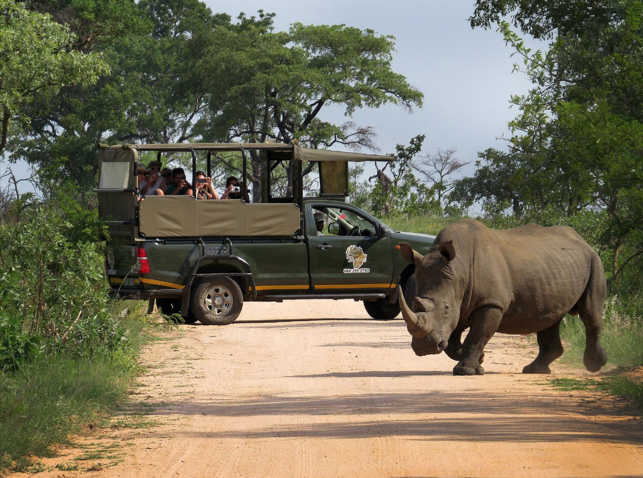 Safari vehicle in Kruger