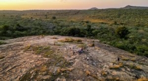 Bushveld landscape