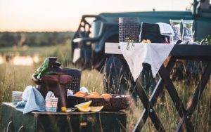 Morning game drive in the Kruger National Park, Mduli Lodge