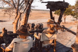 Observing elephants in Sable Valley, Hwange