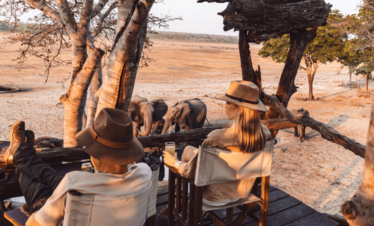 Observing elephants in Sable Valley, Hwange