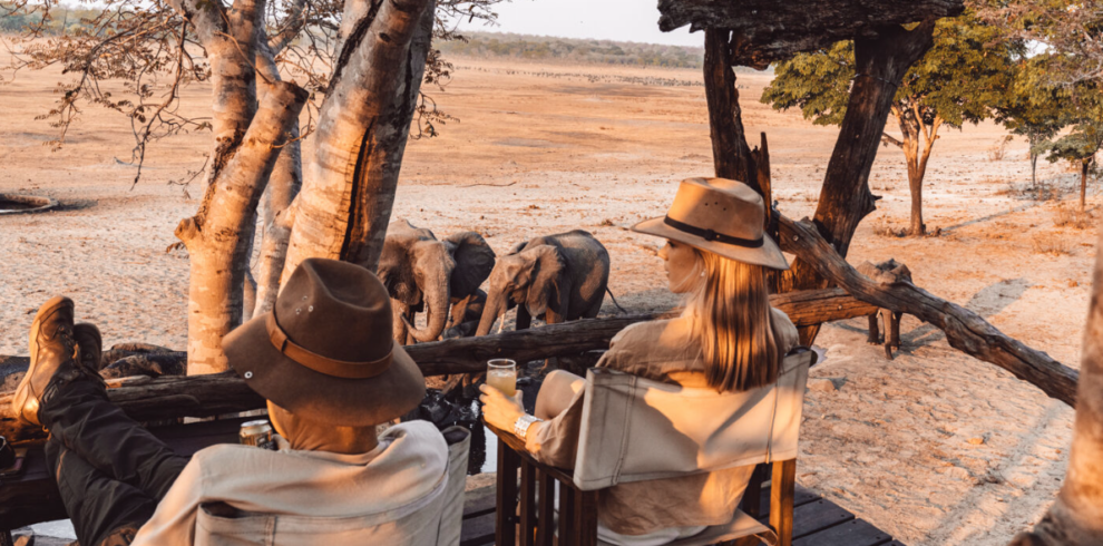 Observing elephants in Sable Valley, Hwange