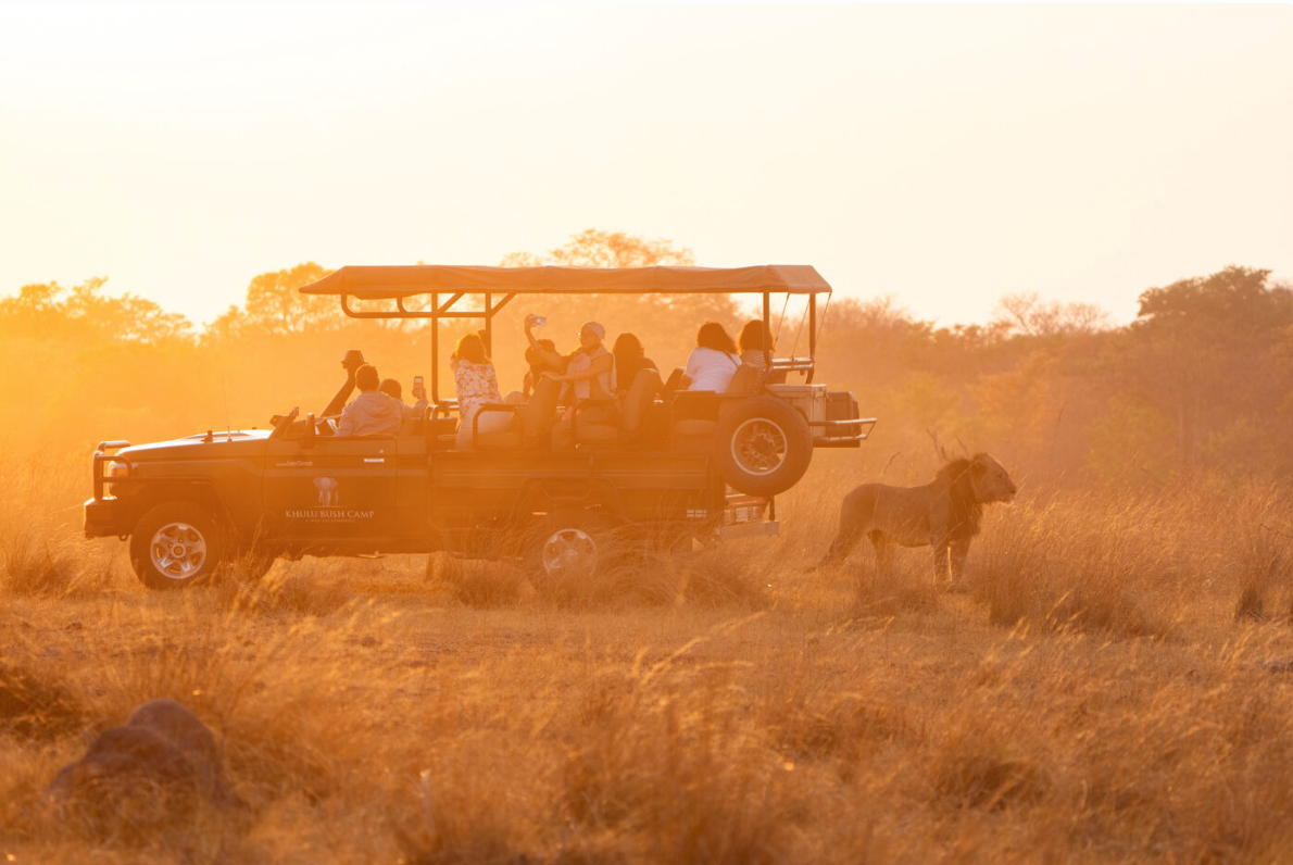 Hwange National Park game drive