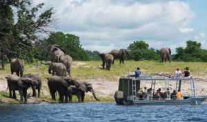 Chobe National Park cruise