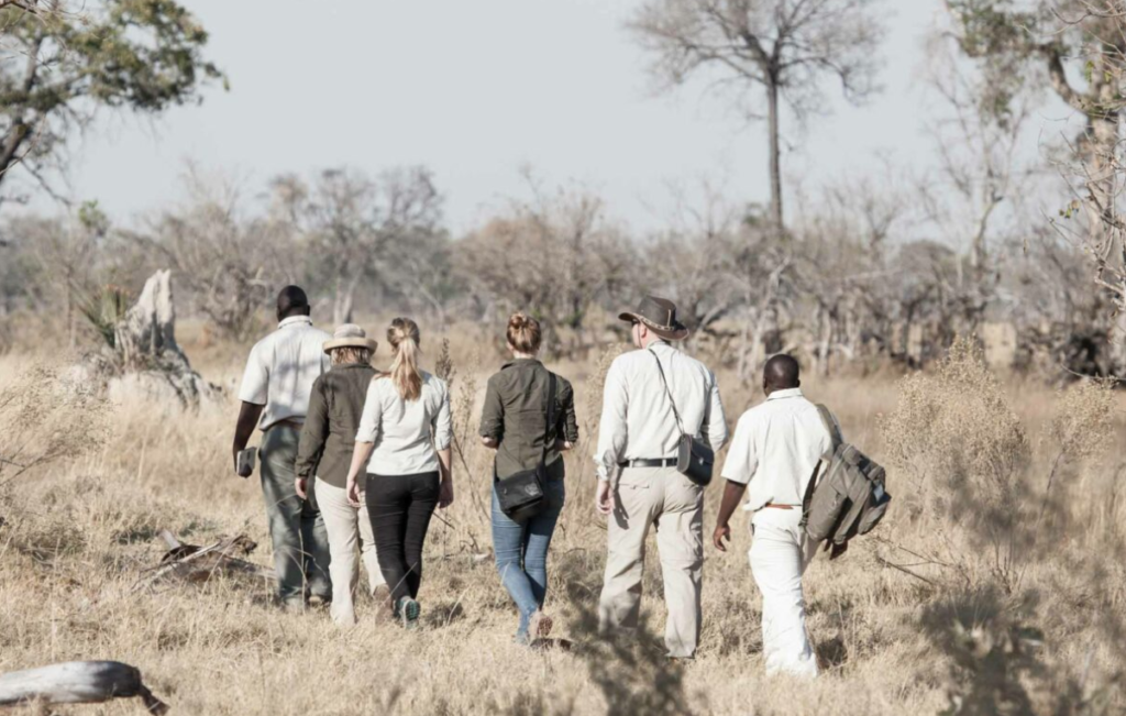 Walking safari