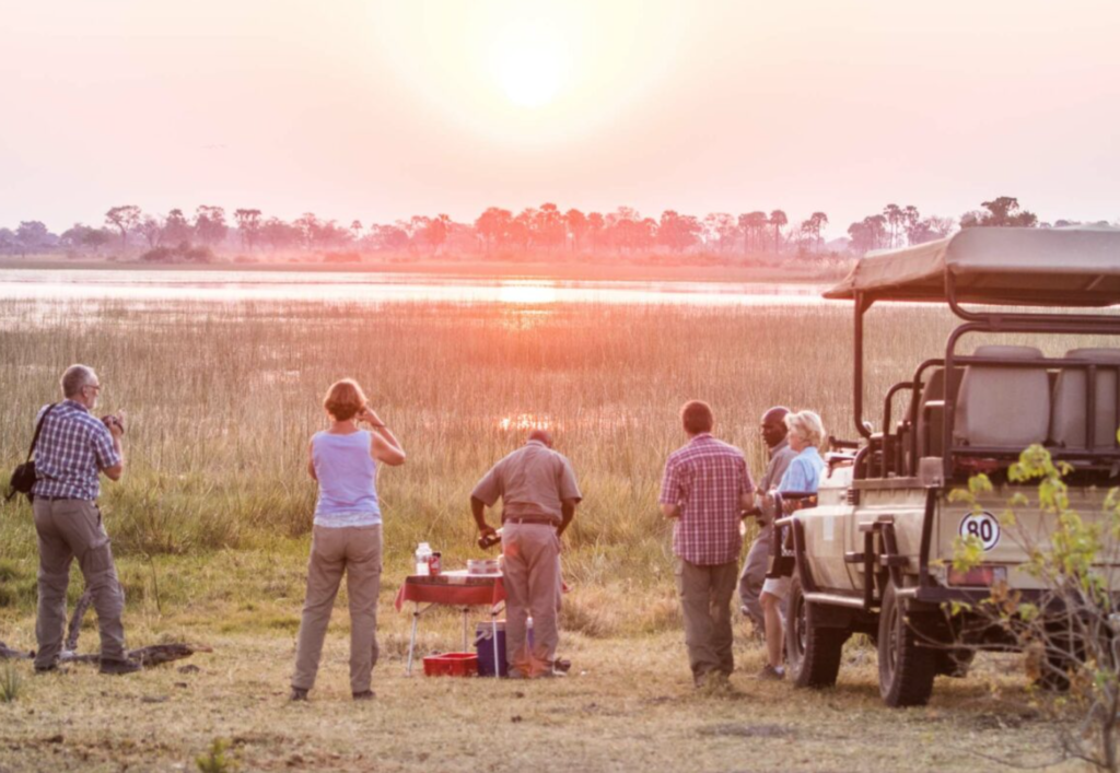 Sunset game drive in Moremi Game Reserve