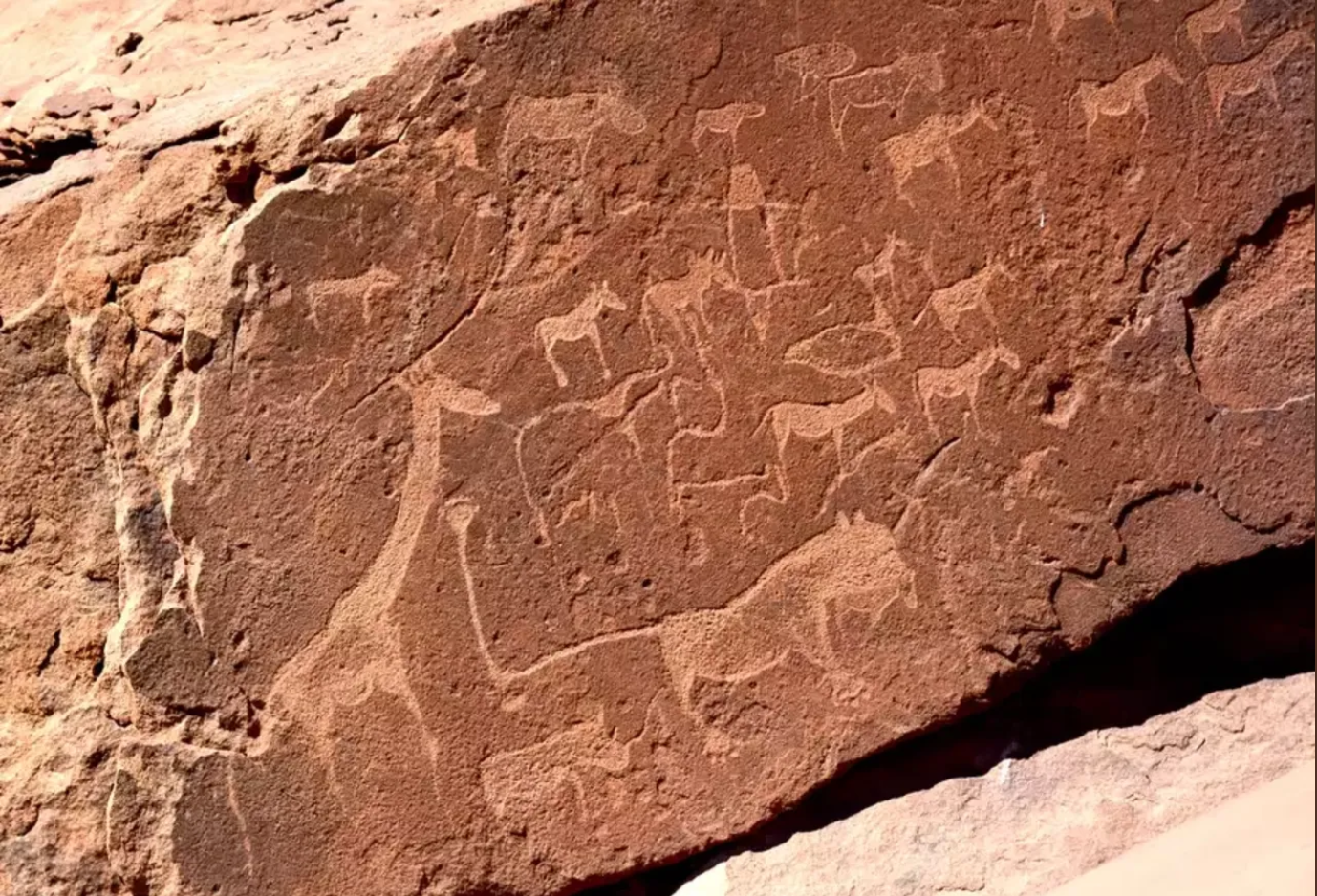 Twyfelfontein Rock Engravings close up