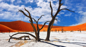 Deadvlei Namibia