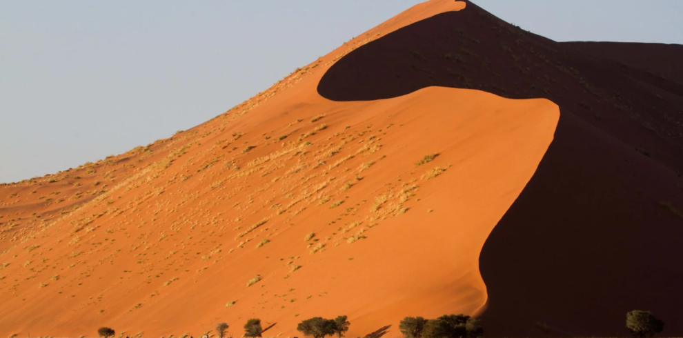 Namibian desert