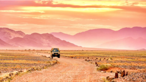 Nature Drive through the Namibian Desert