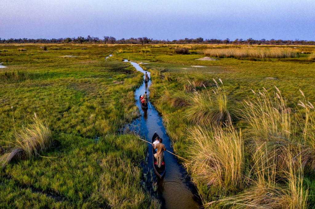 Experiencias únicas de safaris en áfrica