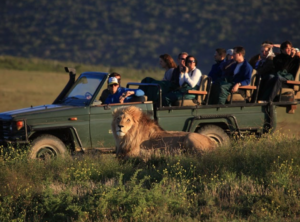 Garden Route Game Lodge