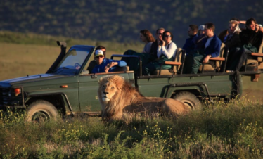 Garden Route Game Lodge