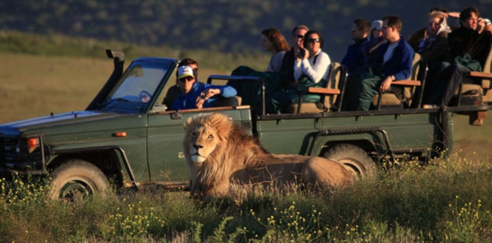 Garden Route Game Lodge