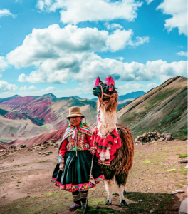 Palcoyo, llama and andean woman