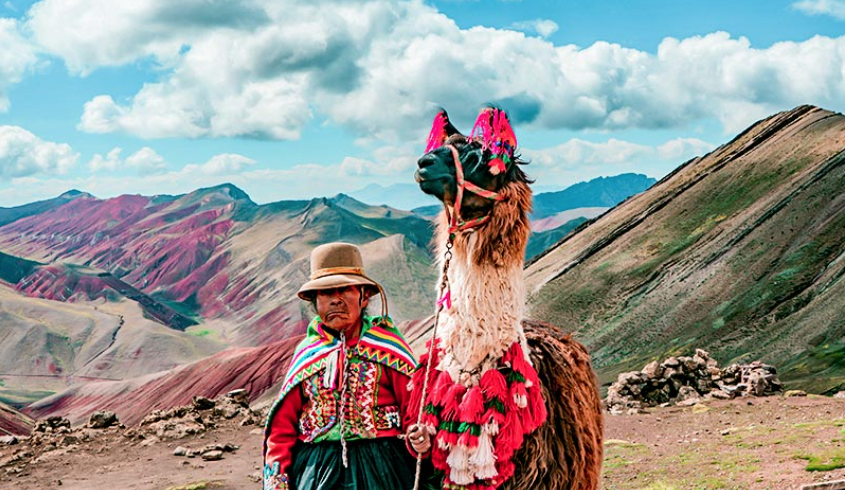 Palcoyo, llama and andean woman