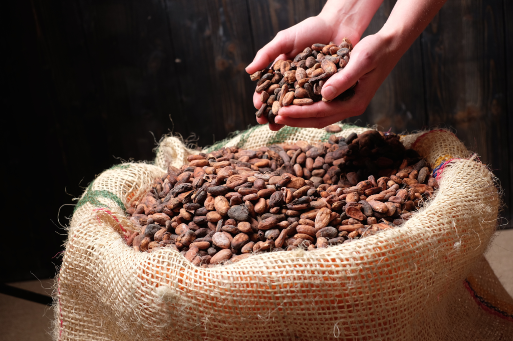 Cacao beans Cacao beans